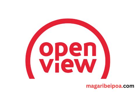 openview error e06